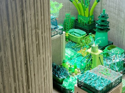 C.Adriaansche - infinitely GREEN