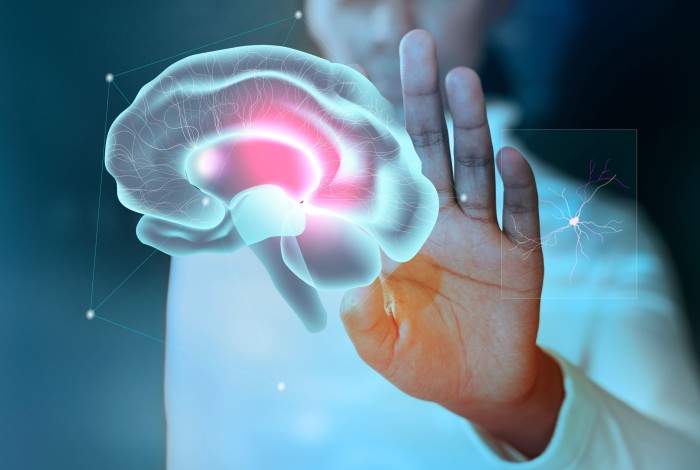 Neural Data Visualization