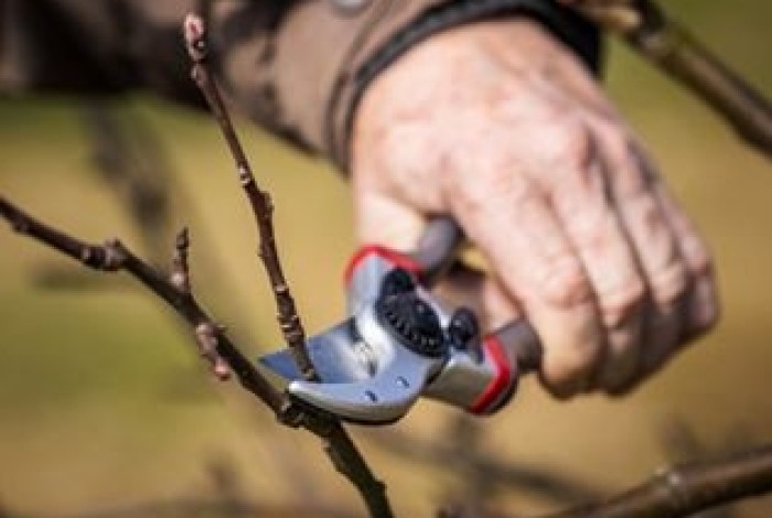 Natuuracademie minicursus