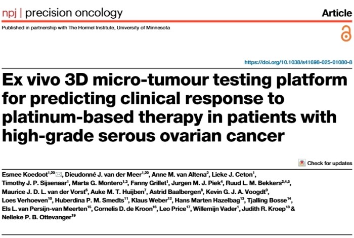 Screenshot van de publicatie