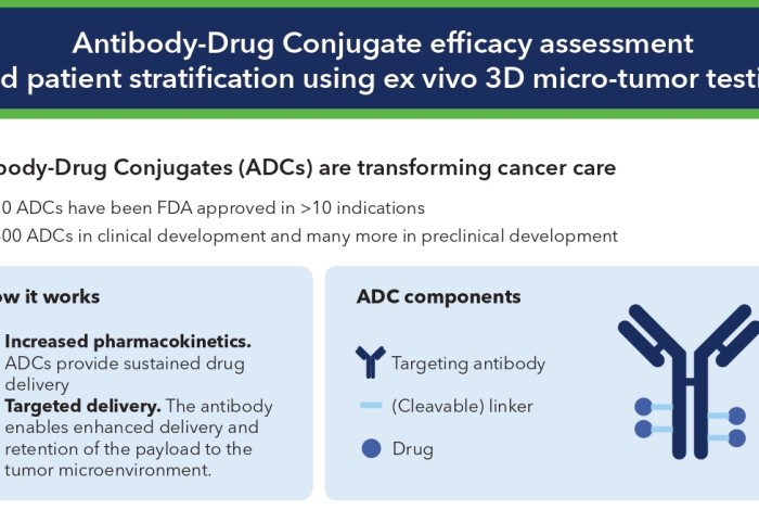 Info Sheet ADC efficacy assessment
