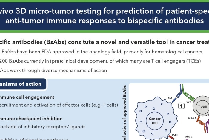 Info Sheet Bispecific antibody testing