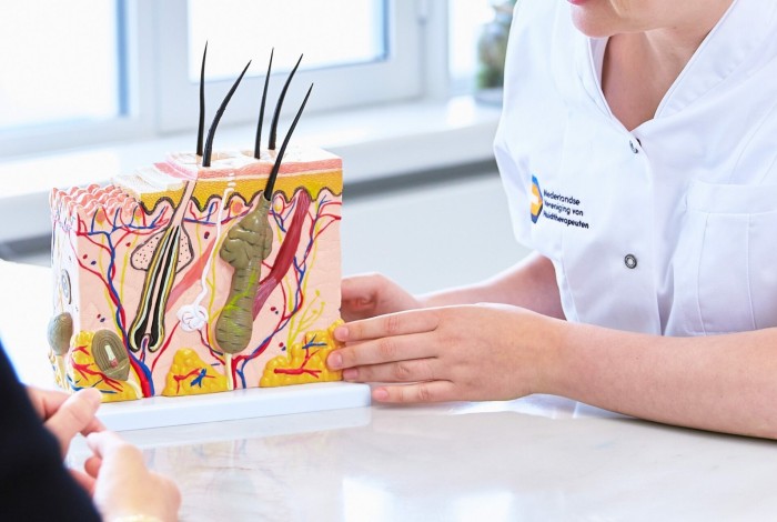 Specialist laat model zien van huid