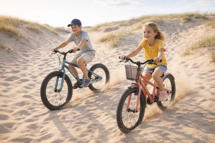 2 fietsen in de duinen