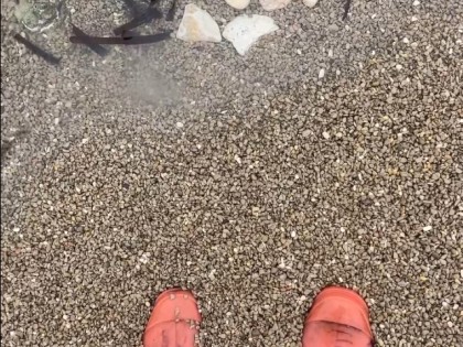 Carolien Adriaansche