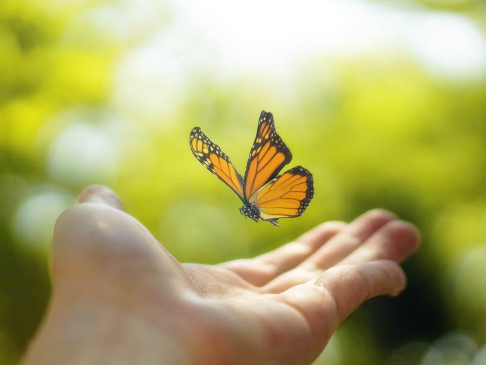 Toekomstgerichte IT die wél werkt.