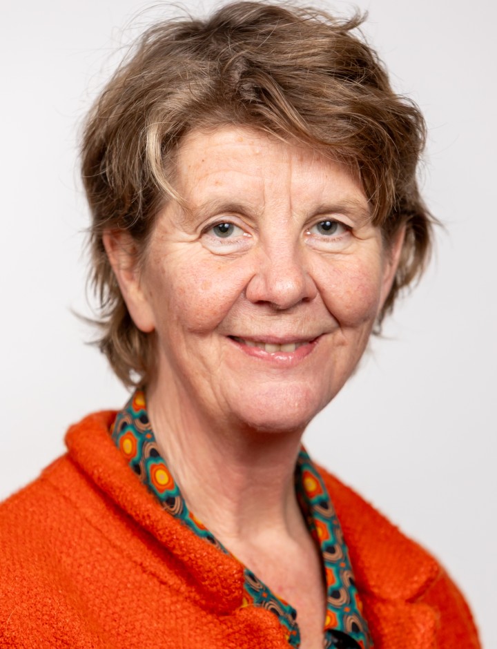 Prof. dr. Inge Huitinga