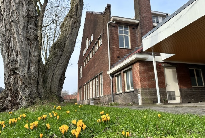 jaarlijks lentefeest in en rondom broedplaats De WAR