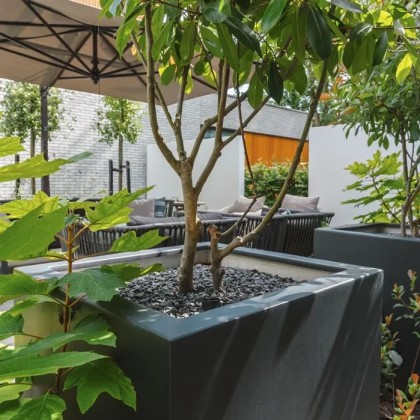 CARREZ20bodem20polyester_1_7BD70382-0C73-41FF-99BB-374CAE0C3509