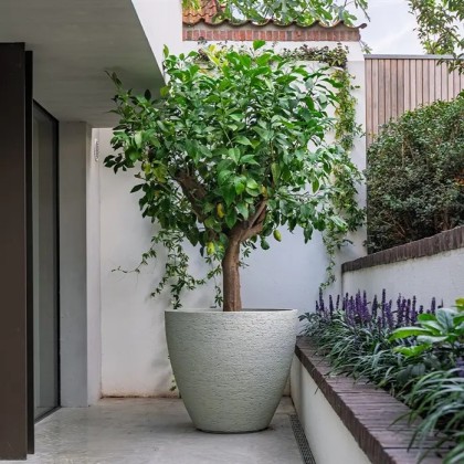 Producten20KJ_1000x1000_LIV_5E84F225-5DC3-4E8C-9024-0F7C9C603CE9