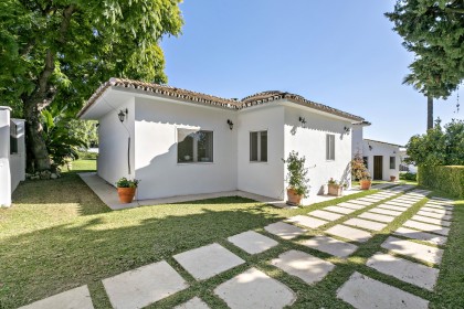 Call Teide - before (23)