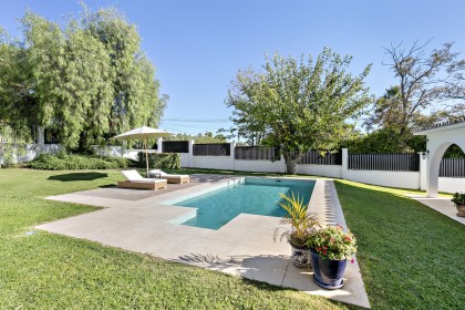 Call Teide - before (24)