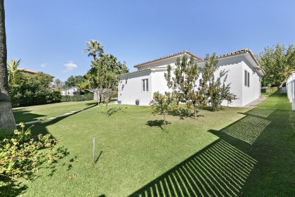 Call Teide - before (4)