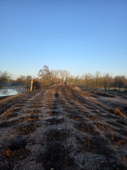 WhatsApp Image 2026-03-30 at 19.14.57 (2)