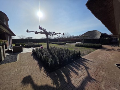 WhatsApp Image 2026-04-13 at 19.14.23