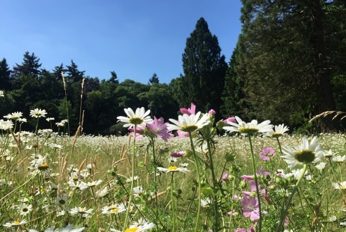 Landgoed Schovenhorst