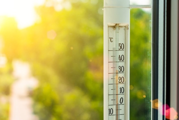 een thermometer in de tuin